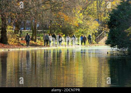 Colores otoñales a lo largo del Regent's Canal, Londres, Inglaterra, Reino Unido Foto de stock