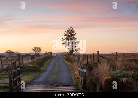 Cerca de Tynygraig, Ceredigion, Gales, Reino Unido. 27 de noviembre de 2020 Reino Unido tiempo: Frío, la mañana tranquila a lo largo de los carriles del campo de Ceredigion con una bonita nube de color pastel en el cielo. © Ian Jones/Alamy Live News Foto de stock