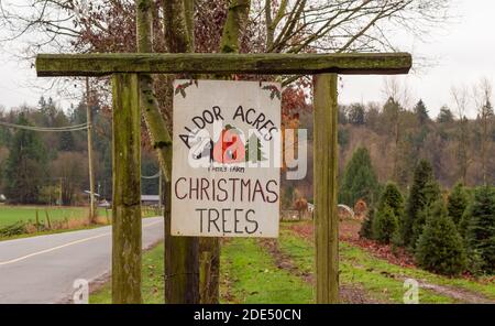 Un signo usado hecho a mano de una venta para los árboles de Navidad en el campo. Foto de viaje, vista de calle, enfoque selectivo. Foto de stock
