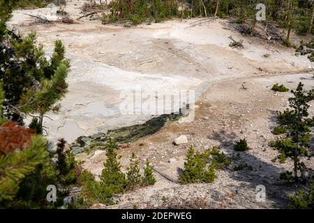 El volcán de barro y el caldero de azufre son potes de barro y fumarolas, en el Parque Nacional de Yellowstone, Wyoming - paisaje de la zona Foto de stock