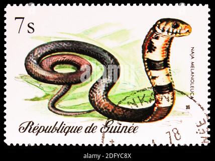 MOSCÚ, RUSIA - 28 DE AGOSTO de 2020: Sello postal impreso en Guinea muestra Forest Cobra (Naja melanoleuca), Reptiles serie, alrededor de 1977