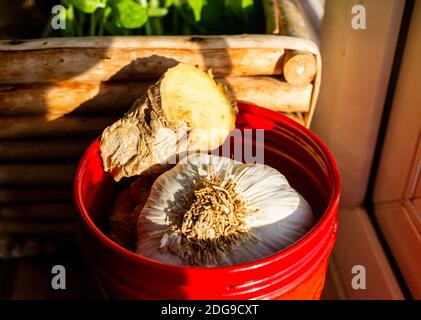 El bulbo de ajo fresco y el jengibre de la raíz que se almacena en un alféizar de ventana de la cocina Foto de stock