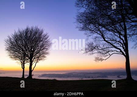 Los árboles de haya se perfilaron contra la puesta de sol con la niebla de última hora de la tarde en Roundway Hill en los Downs de Wessex. Vale de Pewsey, Wiltshire, Inglaterra Foto de stock