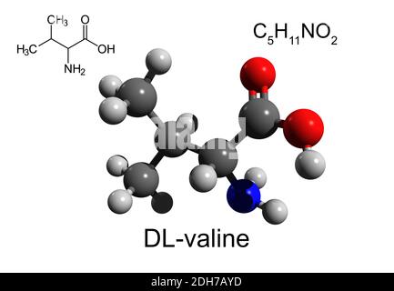 Fórmula química, fórmula estructural y modelo 3D de bola y palo de DL-valina, un aminoácido esencial, fondo blanco Foto de stock