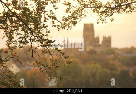 Color otoñal en el bosque de Pelaw a orillas del río Wear en la ciudad de Durham. Fotos muestra la Catedral de Durham Foto tomada el 16 de octubre de 2020 Foto de stock