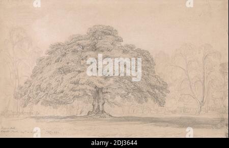 James Ward The Beggar's Oak, Bagot's Park, Agosto 12th, 1820 (un ...