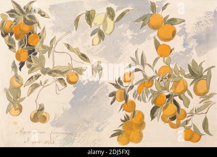Edward Lear, árboles frutales, 3 de abril de 1863, pintura, 1863 Fotografía  de stock - Alamy
