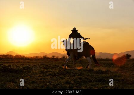 Silueta del hombre sosteniendo un arma sentado en el caballo contra el cielo durante la puesta de sol