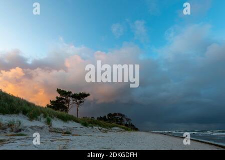 Alemania, Mecklemburgo-Pomerania Occidental, Prerow, amanecer en la playa oeste, Mar Báltico