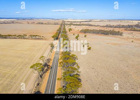Carretera que atraviesa el interior de Australia Occidental Foto de stock