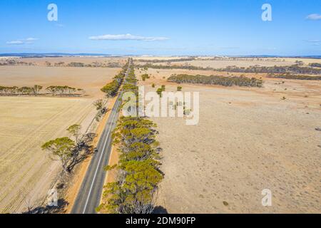 Carretera que atraviesa el interior de Australia Occidental Foto de stock