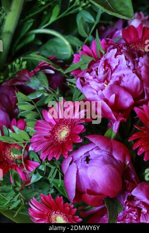 Ramo de peonías rojas y gerberas. Decoración de fiesta Fotografía de stock  - Alamy