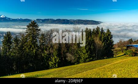 Blick über das vernebelte Rheintal. Sonniger Herbsttag, vista foggy al valle de Rhein con las montañas suizas y Dornbirn. Soleado día otoñal Foto de stock