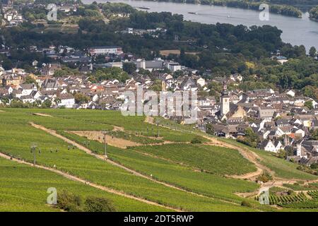 Hermosos viñedos en la ladera a lo largo del río Rin cerca de ruedesheim y.. El monumento niederwald en Alemania Foto de stock