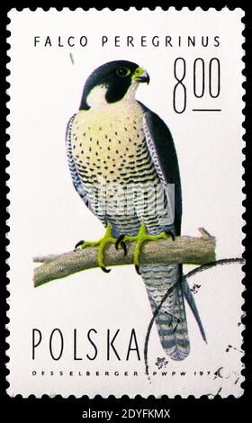 MOSCÚ, RUSIA - 23 DE MARZO de 2019: Sello postal impreso en Polonia muestra Halcón peregrino (Falco peregrinus), serie Falcons, alrededor de 1975