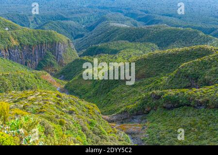 Pendiente verde del Monte Taranaki en Nueva Zelanda Foto de stock