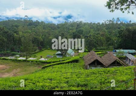 Hermosa casa de estancia Villa situado en el centro de la plantación de té en Munnar, Kerala, India. Turismo de estancia en casa.