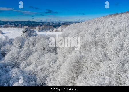 Vista aérea del bosque cubierto de nieve y una vista a. los campos nevados y colinas en una distancia