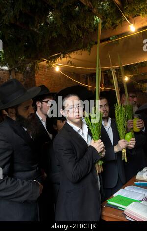 En Sukkot, hombres de todas las edades bendicen las cuatro especies en un Sukkah adyacente a la sinagoga principal de Lubavitch en Crown Heights, Brooklyn, Nueva York. Foto de stock