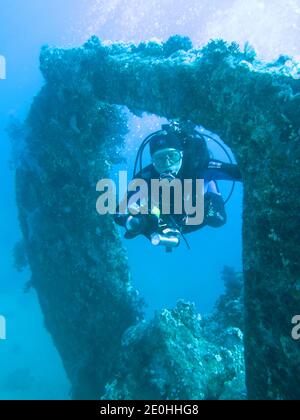 Asolando 'Dunraven', Rotes Meer, Aegypten