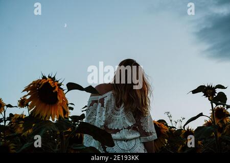 Mujer morena en Sunflower Field, Reino Unido