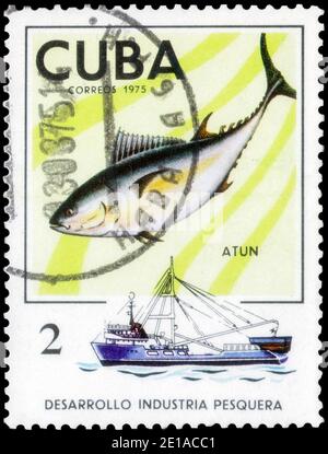 San Petersburgo, Rusia - 05 de diciembre de 2020: Sello impreso en la Cuba con la imagen del Atún, Thunnus, alrededor de 1975 Foto de stock