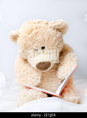 Un lindo oso de peluche beige para que los niños jueguen con él gafas está leyendo un libro Foto de stock