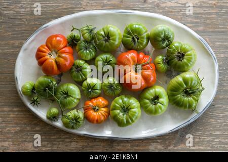 Colores llamativos rojos y verdes de los tomates británicos cultivados en casa recién arrancado de una vid y colocado en una china Plato sobre una mesa rústica en Inglaterra