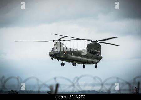 Un helicóptero Chinook en el aeropuerto de Exeter. Foto de stock