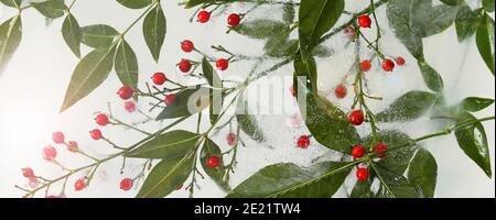 Hojas de bambú bambú decoración vegetal de hojas de bambú decorativo  arreglo Fotografía de stock - Alamy