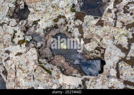 Pequeñas rocas en botella de vidrio con tapón de corcho aislado sobre fondo  blanco, para el recuerdo, piedras de arena rotas en botella de vidrio,  ahorro de memoria en la jarra Fotografía