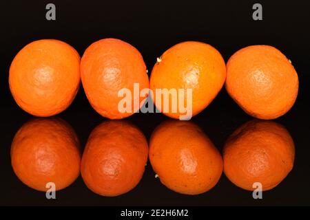 Unas cuantas tangerinas maduras de color naranja brillante sobre fondo  negro Fotografía de stock - Alamy