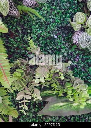Muchas plantas artificiales hermosa decoración verde en la pared y hacer  que parezca fresco y hermoso. Decore el jardín con plantas falsas en la  pared de Fotografía de stock - Alamy