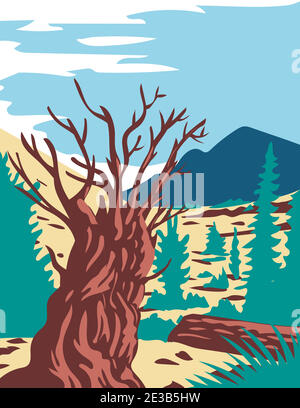 El arte del cartel de WPA del árbol Prometheus, un pino de cerda que crece en un bosque en Wheeler Peak cerca de la frontera Nevada-Utah, hecho en el proyecto de obras adminis Ilustración del Vector