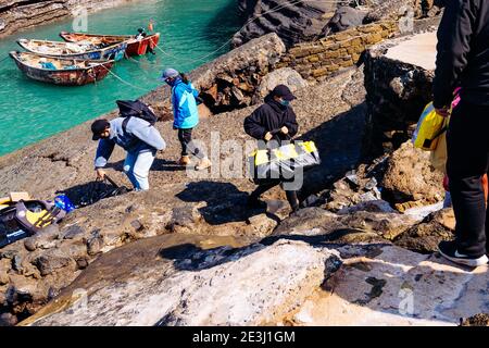 (210119) -- BEIHAI, 19 de enero de 2021 (Xinhua) -- investigadores y voluntarios transportan el equipo a la isla de Xieyang en el Golfo de Beibu, región autónoma de Guangxi Zhuang, al sur de China, 14 de enero de 2021. La ballena de Bryde, vista principalmente en aguas tropicales y subtropicales, es considerada como una especie muy misteriosa de cetáceos, con una longitud corporal de 10 a 12 metros y un peso de hasta 15 toneladas. Un equipo de investigación científica, compuesto por científicos, videógrafos, pescadores y voluntarios, ha estado realizando investigaciones sobre las ballenas y tomando el papel de guardianes de estos mamíferos marinos desde que eran f Foto de stock