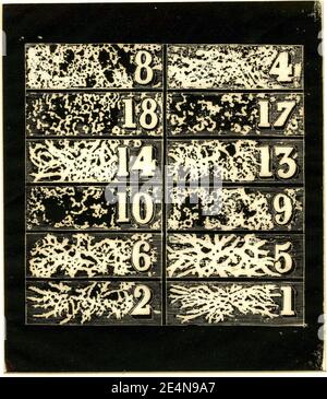 Meryon - Projet de billets d'Actions d'une pseudo-compagnie franco-Californienne, 1876,0510.331.