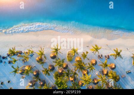 Vista aérea de paraguas, palmas verdes en la playa Foto de stock