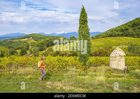 Francia, Vaucluse, caminata a partir de la villa medieval de Crestet, AOC Ventoux viñedo Foto de stock