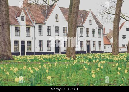 Brujas Beguinage con sus coloridos campos de tulipanes y casas. Bélgica. Foto de stock