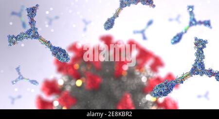 Las proteínas de inmunoglobulina o anticuerpos atacan una célula patógena del virus de la corona - ilustración 3d Foto de stock