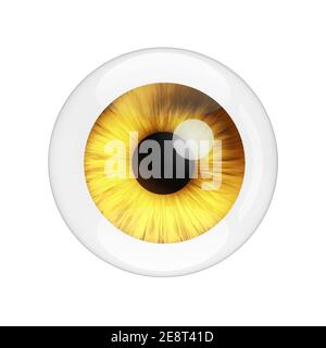 Realista Ojo Amarillo humano con Reflexiones sobre un fondo blanco. Renderizado en 3d Foto de stock