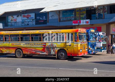 MATARA, SRI LANKA - 17 DE FEBRERO de 2020: Autobuses multicolores de Sri Lanka frente a la estación de autobuses de la ciudad Foto de stock