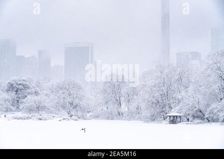 Vista a través de un lago congelado en Central Park durante un Nor'easter.