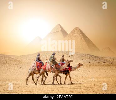 Caravana de camellos y las pirámides de Giza en Egipto