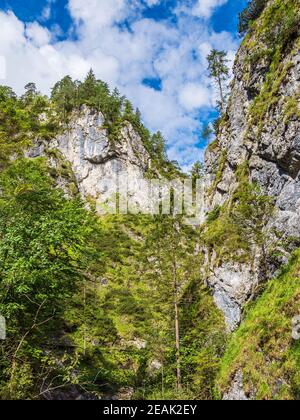 Gorge Almbachklamm en los Alpes Berchtesgaden, Alemania Foto de stock