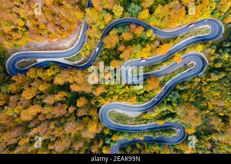 Vista aérea de la carretera en un hermoso bosque de otoño al atardecer.