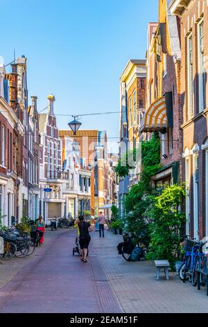 Casas clásicas de ladrillo rojo situadas junto a la calle Groot Heiligland en Haarlem, países Bajos Foto de stock