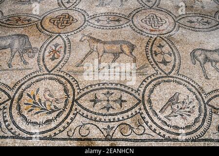 Interior de la Catedral con el pavimento de mosaico, Patrimonio de la Humanidad de la UNESCO, Aquileia, Udine, Friuli-Venecia Julia, Italia, Europa Foto de stock