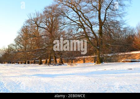 Histórica Knole House and Park, un monumento de los Tudor en Sevenoaks, Kent, en febrero de 2021 durante una 'bestia del este' en un fresco día con nieve Foto de stock
