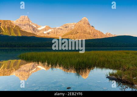 Howse Peak relected en lago de aves acuáticas en el Parque Nacional Banff, en Alberta, Canadá al amanecer. Foto de stock